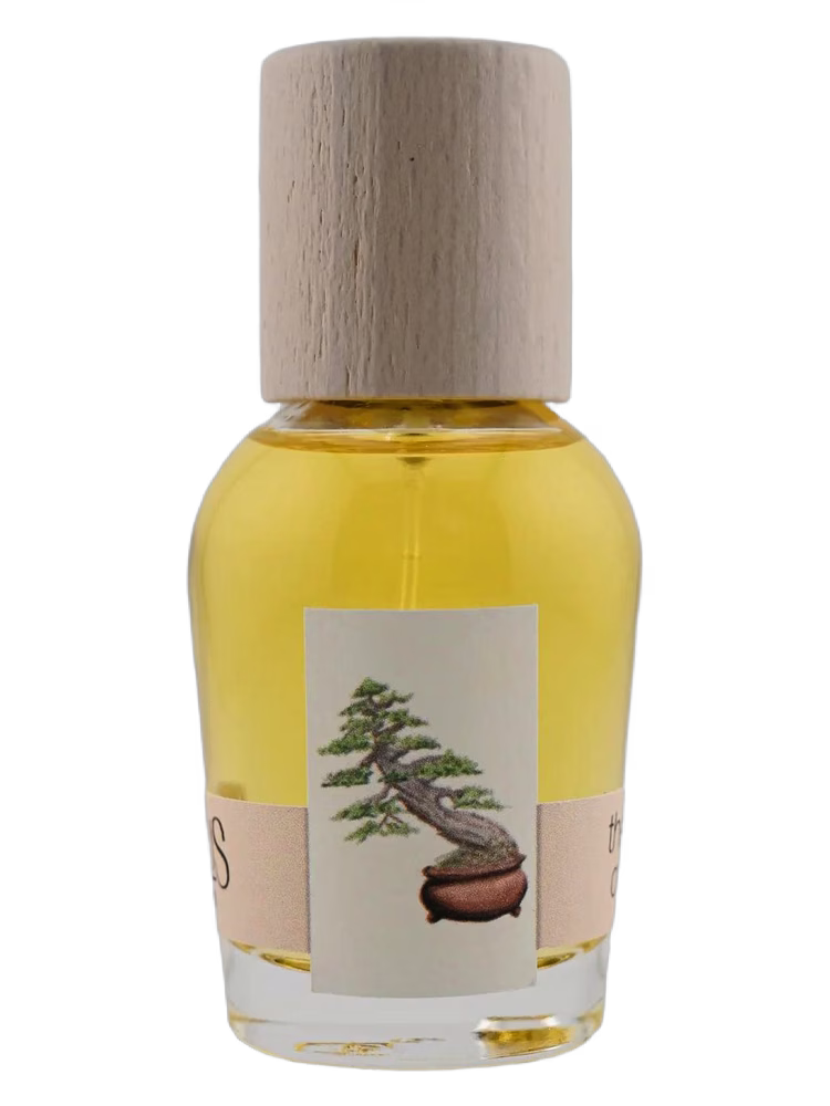 Cirrus Parfum The Idea of You
