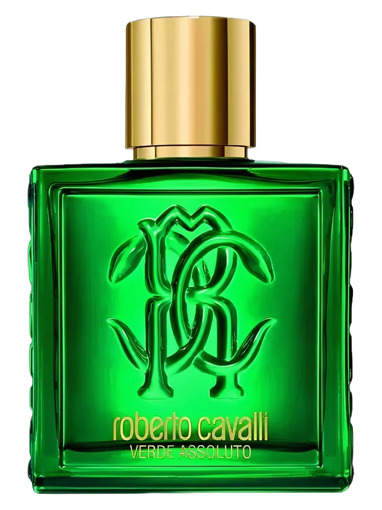 Roberto Cavalli Roberto Cavalli Uomo Verde Assoluto