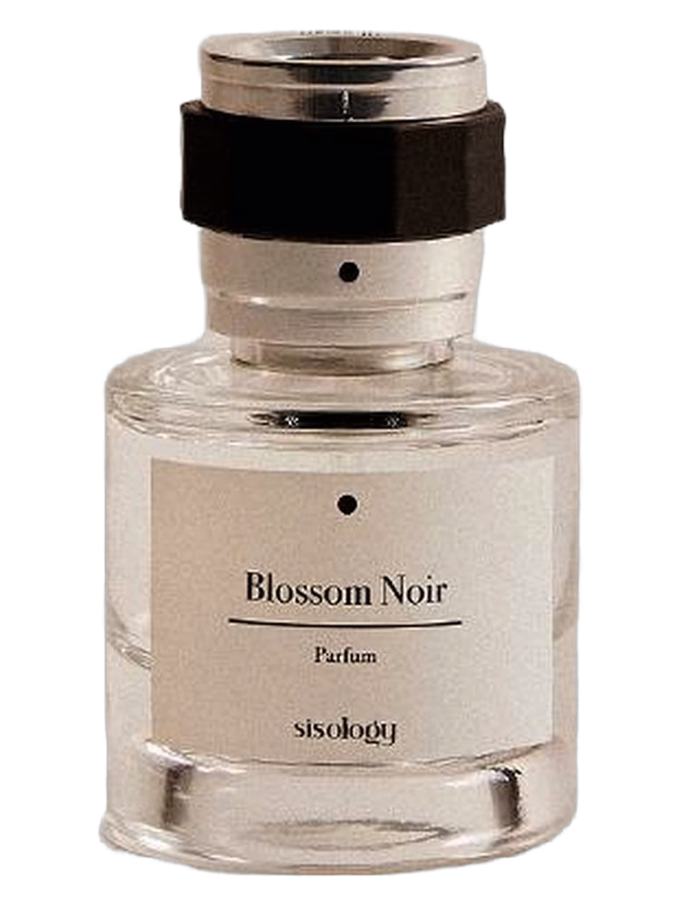 Sisology Blossom Noir