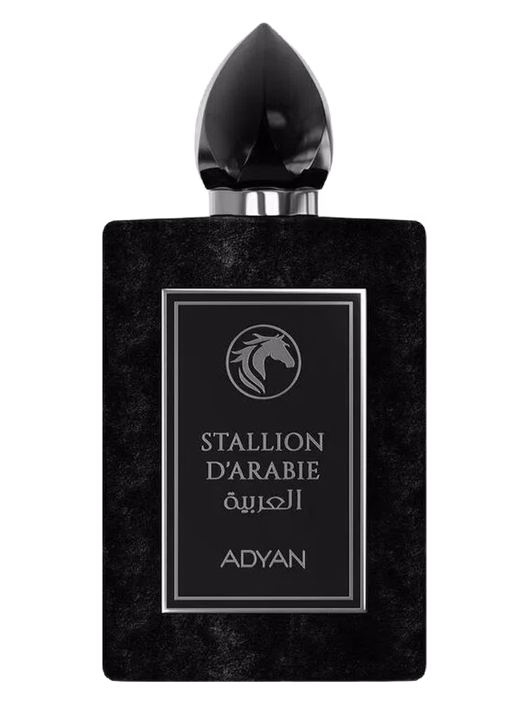 Adyan by Anfar Stallion D'Arabie