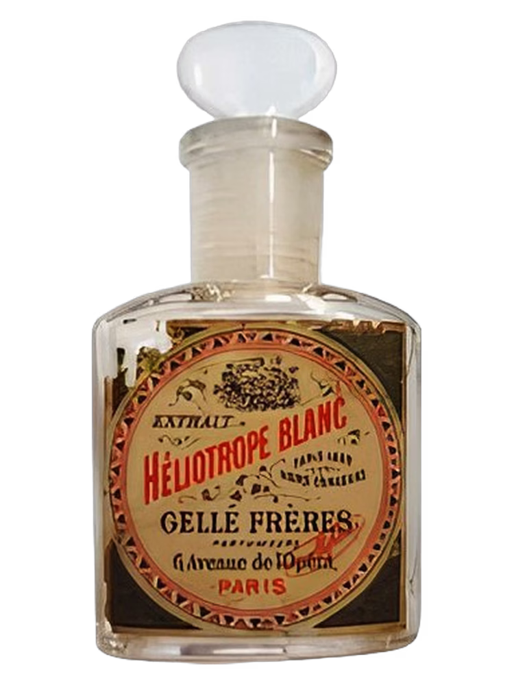 Gelle Freres Héliotrope Blanc