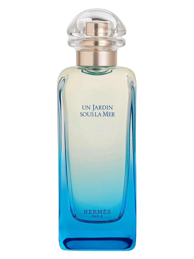 Hermès Un Jardin Sous la Mer