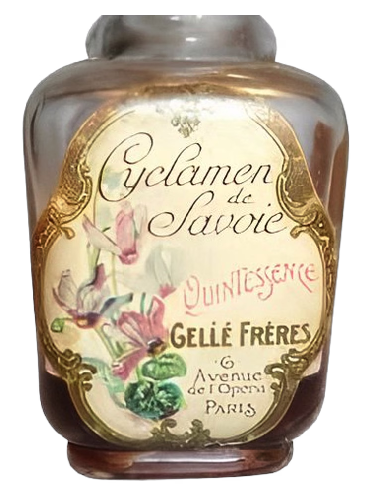 Gelle Freres Cyclamen de Savoie