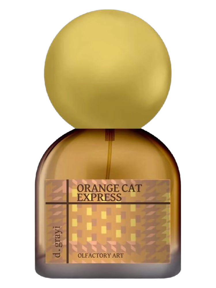 d.grayi Orange Cat Express