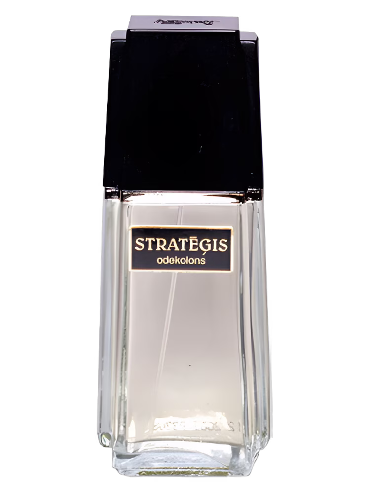 Dzintars Strategis
