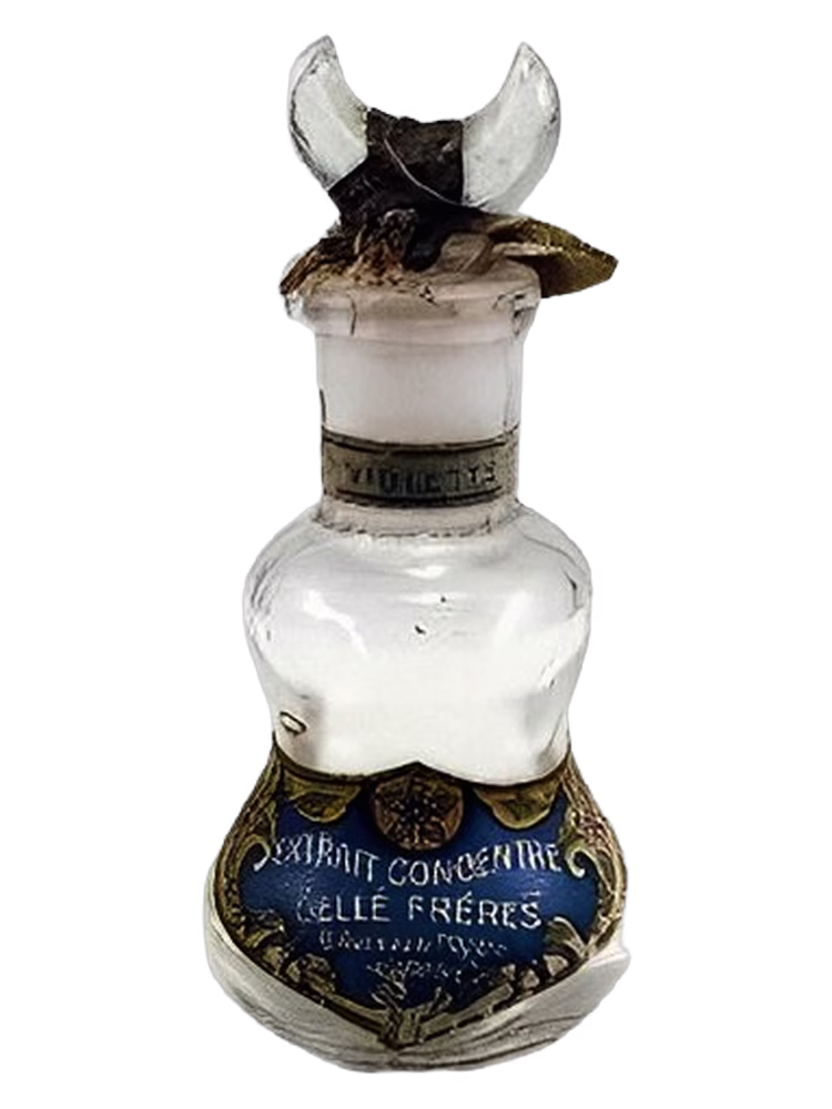 Gelle Freres Violette