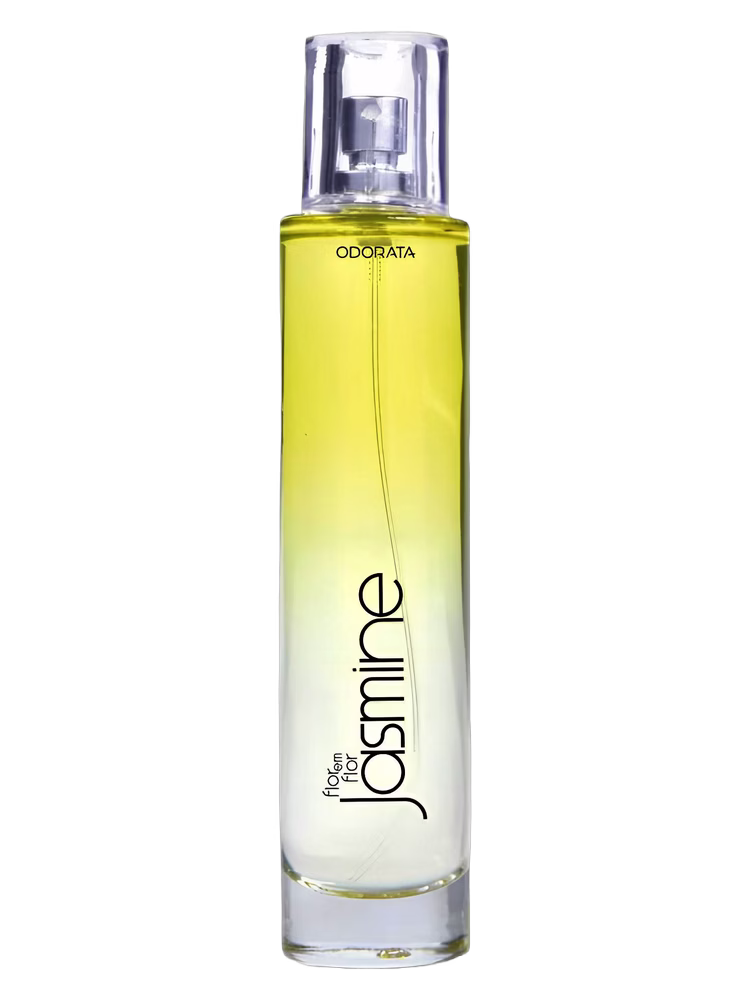 Odorata Flor em Flor Jasmine