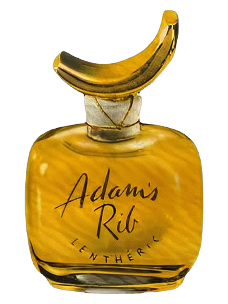 Lentheric Adam's Rib