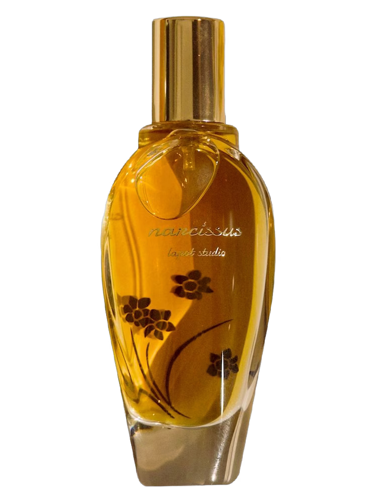 Lapot Studio 窄門 Narcissus 水仙