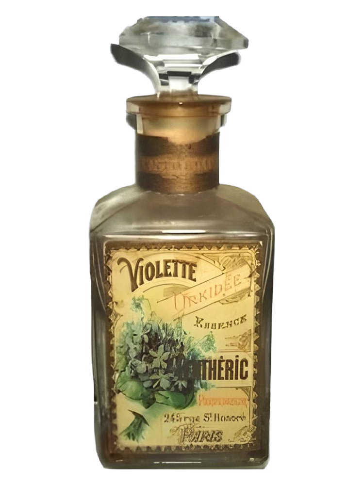 Lentheric Violette Orkidée