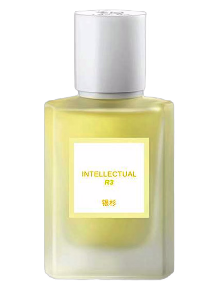 Maison Shan 银杉 Intellectual 高知