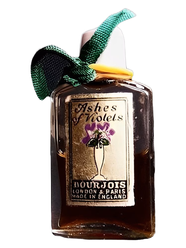 Bourjois Ashes of Violets