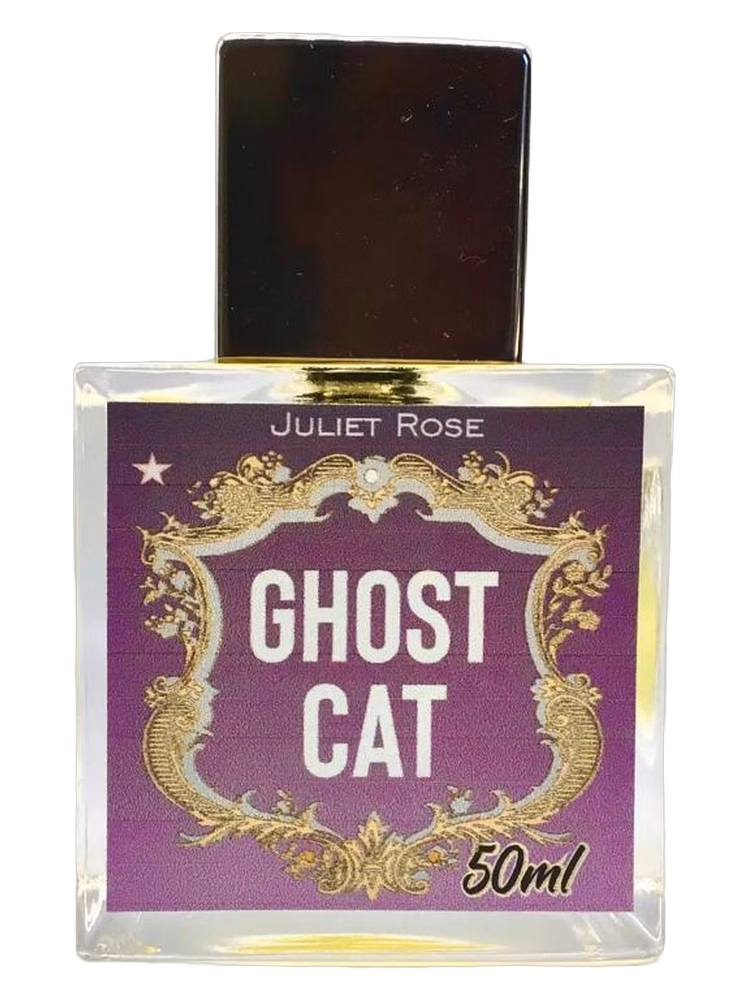 Juliet Rose Ghost Cat
