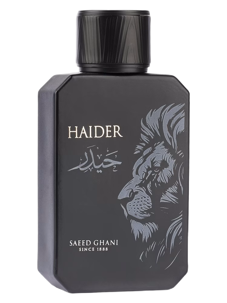 Saeed Ghani Haider