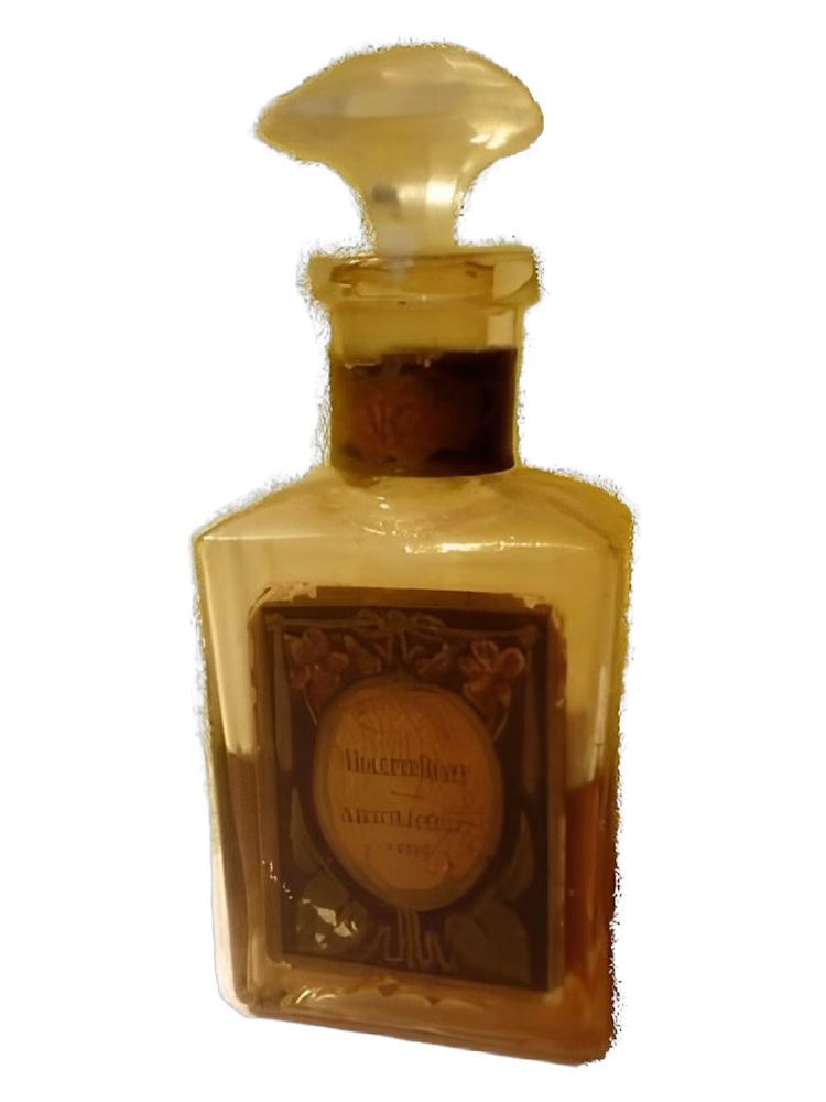 Bourjois Violette Rêvee