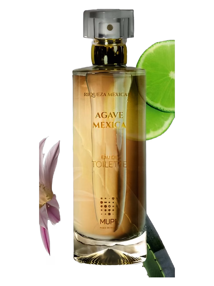 MUPE Agave Mexica