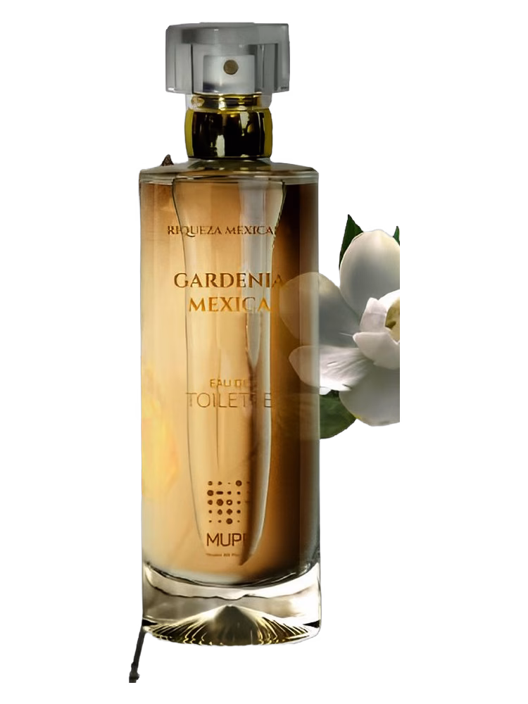 MUPE Gardenia Mexica