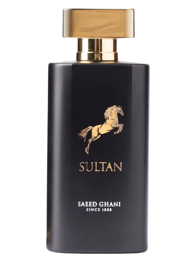 Saeed Ghani Sultan
