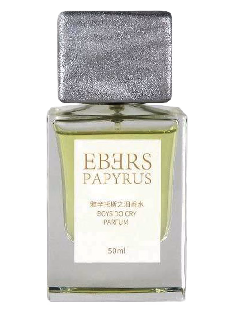 Ebers Papyrus Boy Do Cry