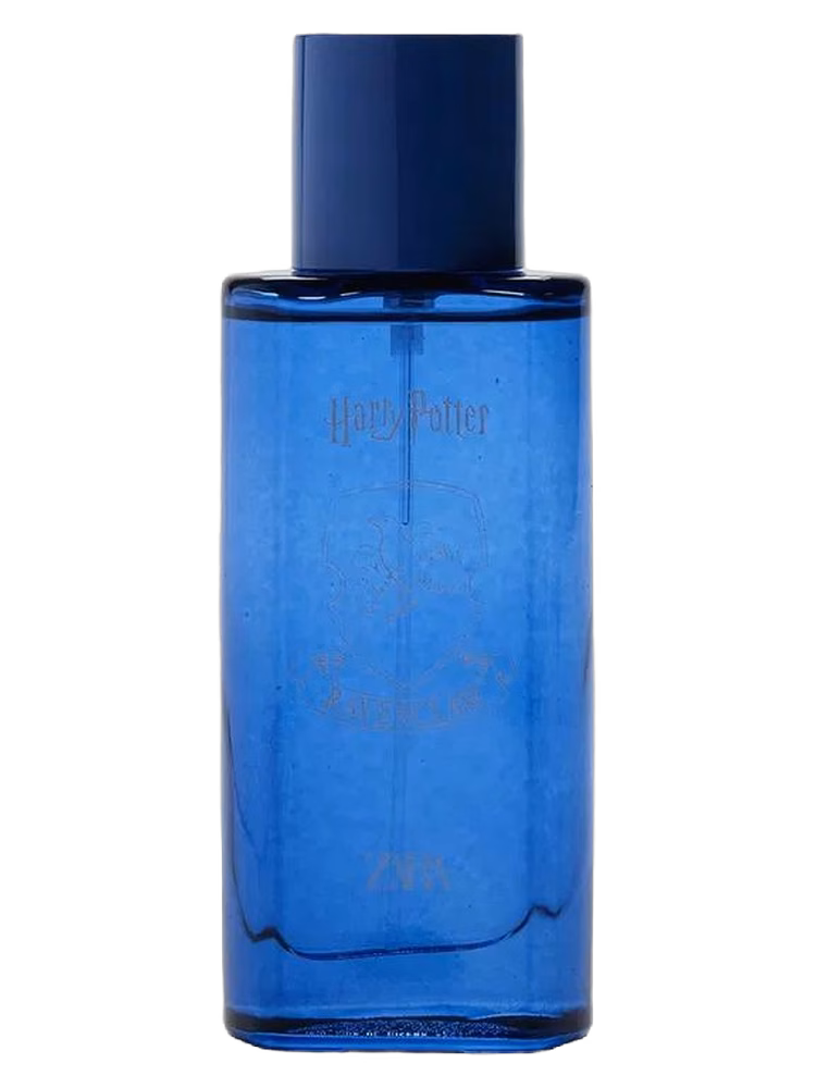 Zara Harry Potter Ravenclaw