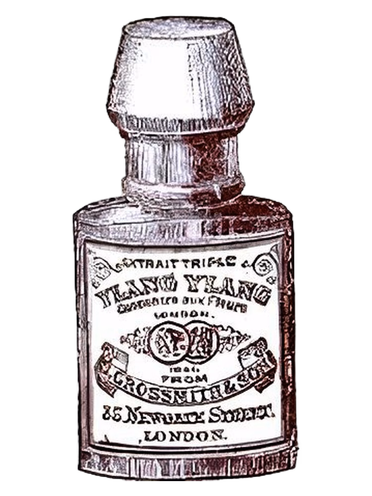 Grossmith Ylang Ylang
