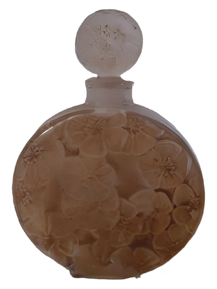 Volnay Rose Brumaire