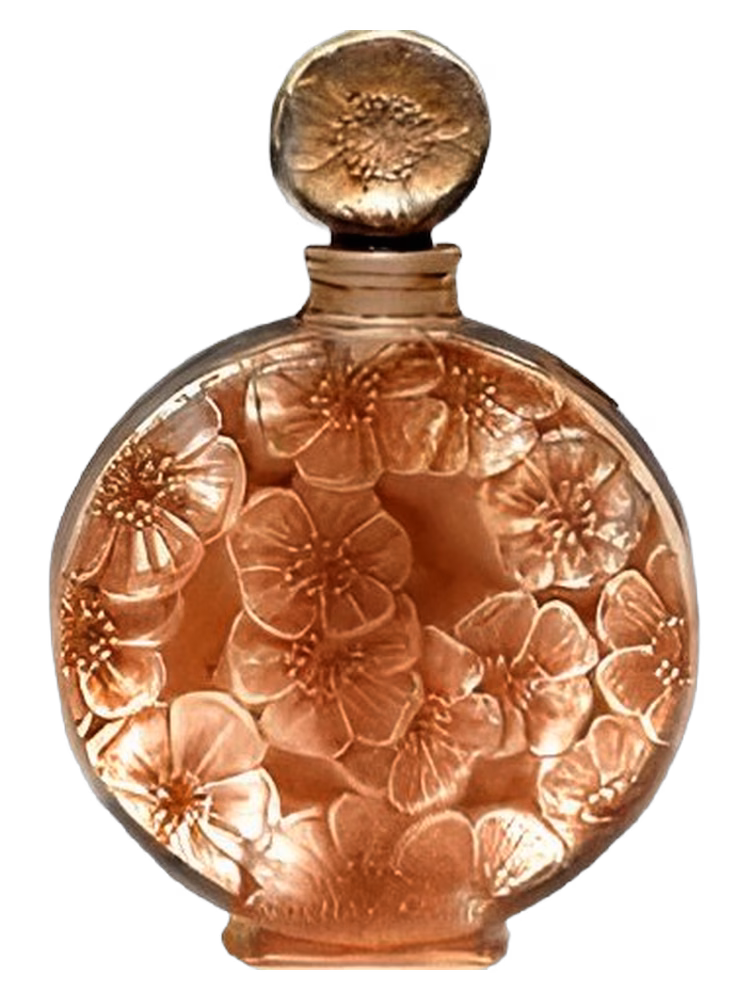 Volnay Chypre Ambre