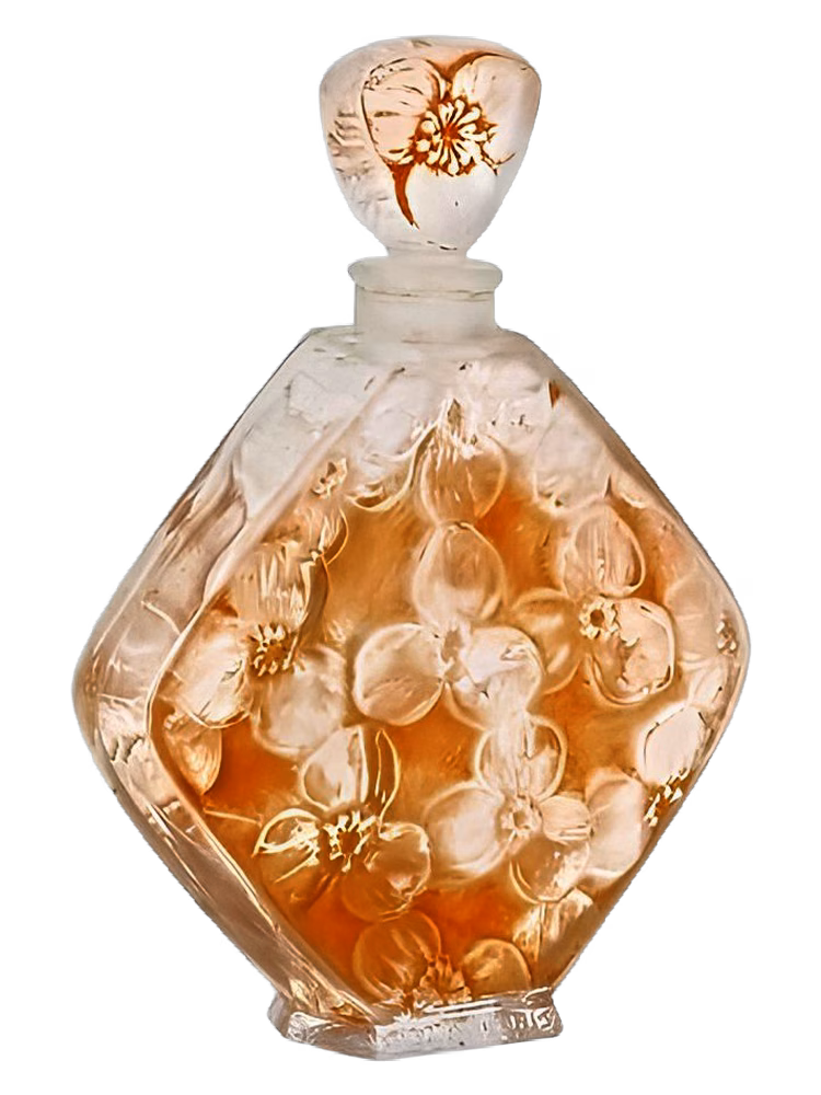 Volnay Napée