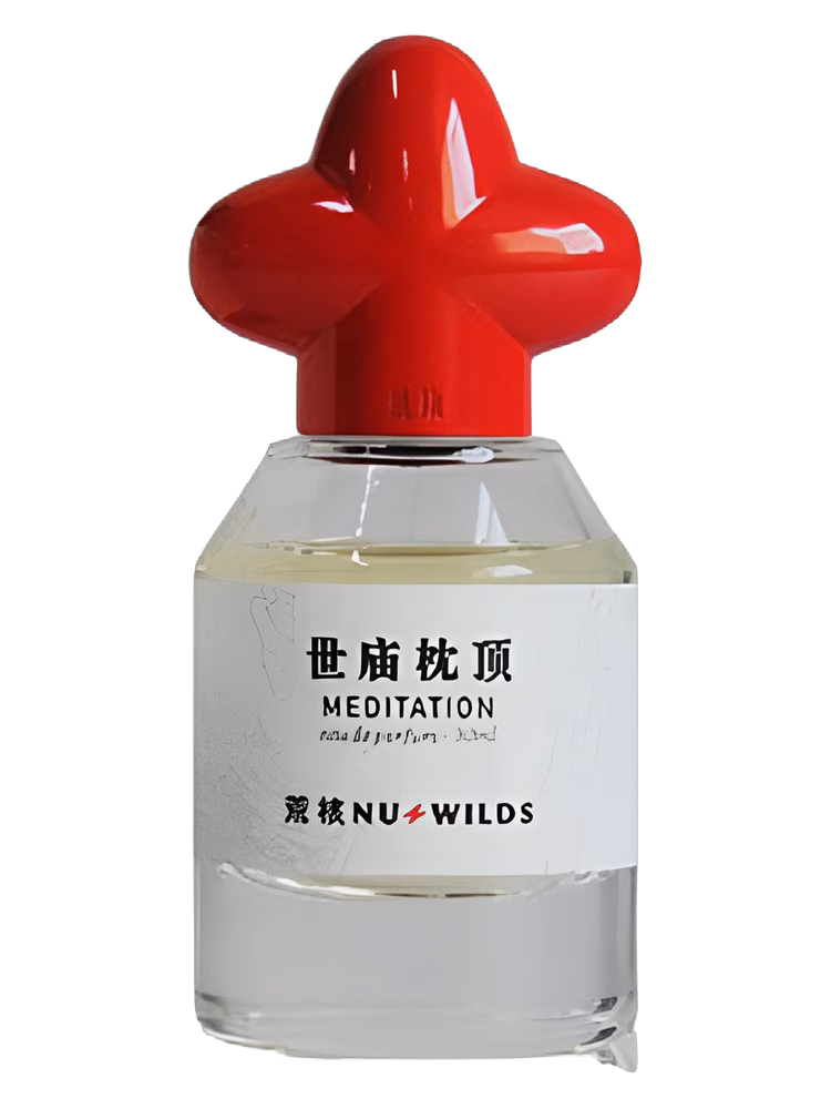 Nu Wilds Meditation
