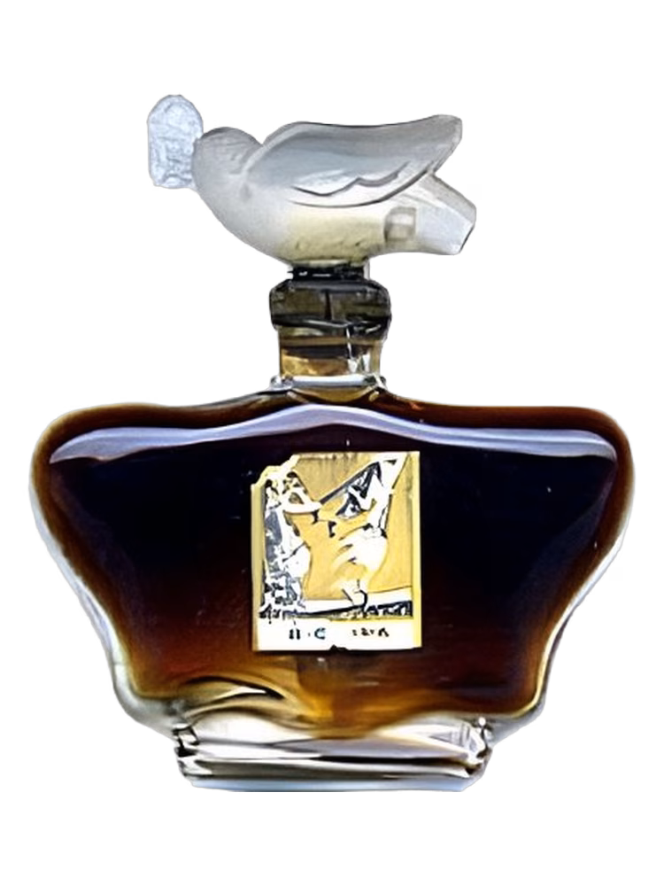 Parfums Bichara Comment Bichara Saisit La Fortune