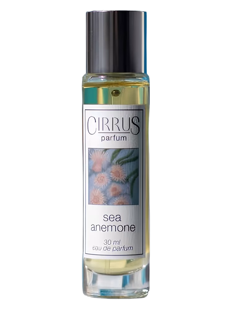 Cirrus Parfum Sea Anemone