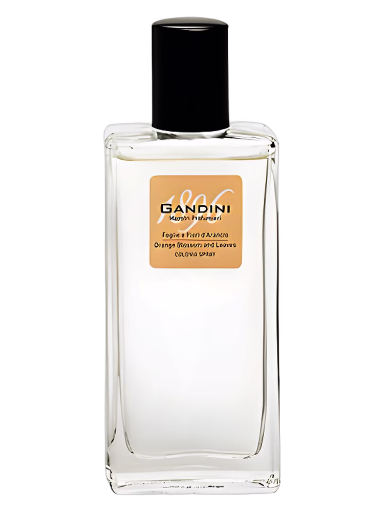 Gandini 1896 Orange Blossom and Leaf