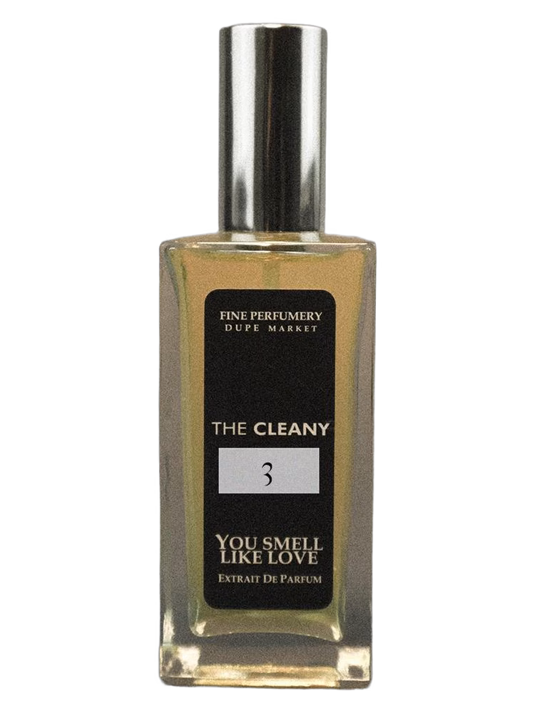 The Cleany #3