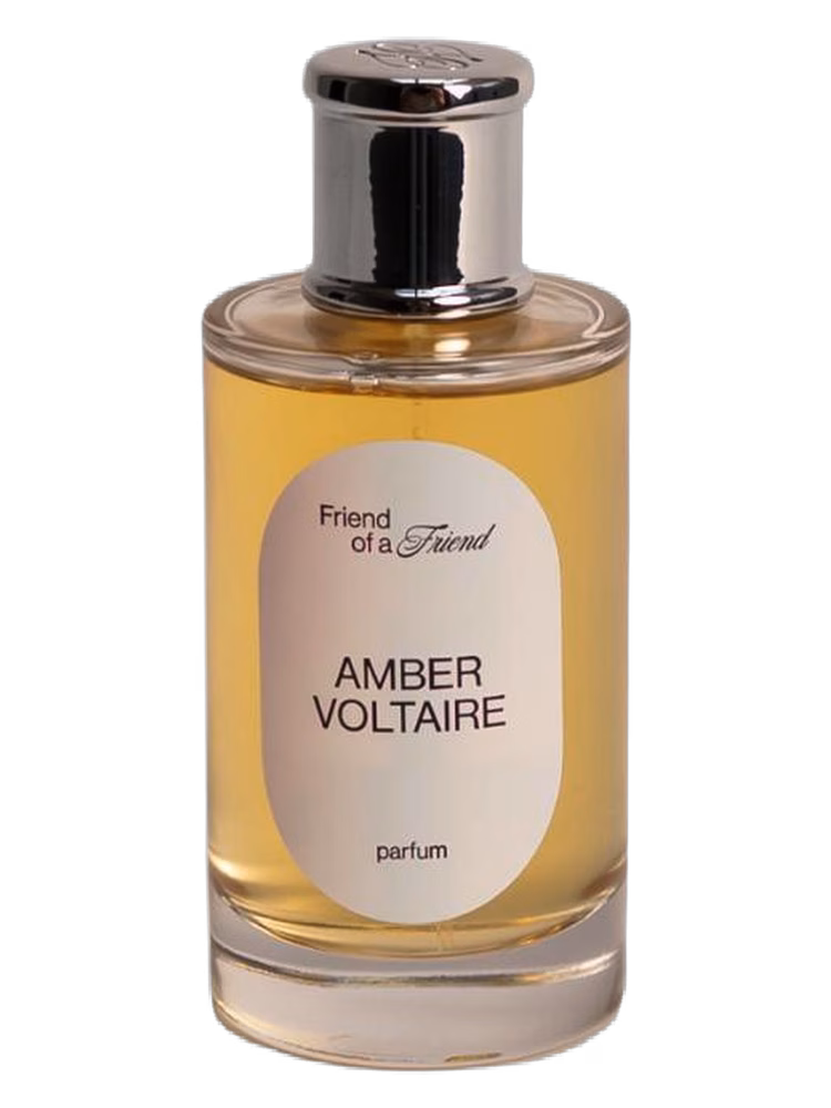 Friend of a Friend Amber Voltaire