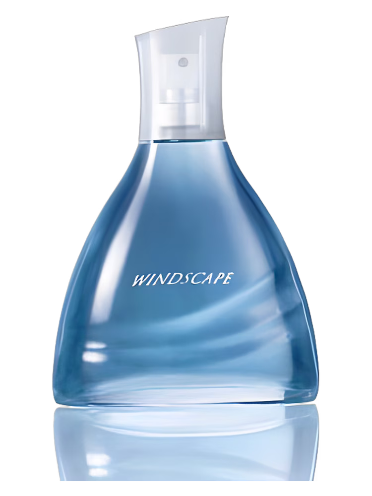 Avon Windscape for Him