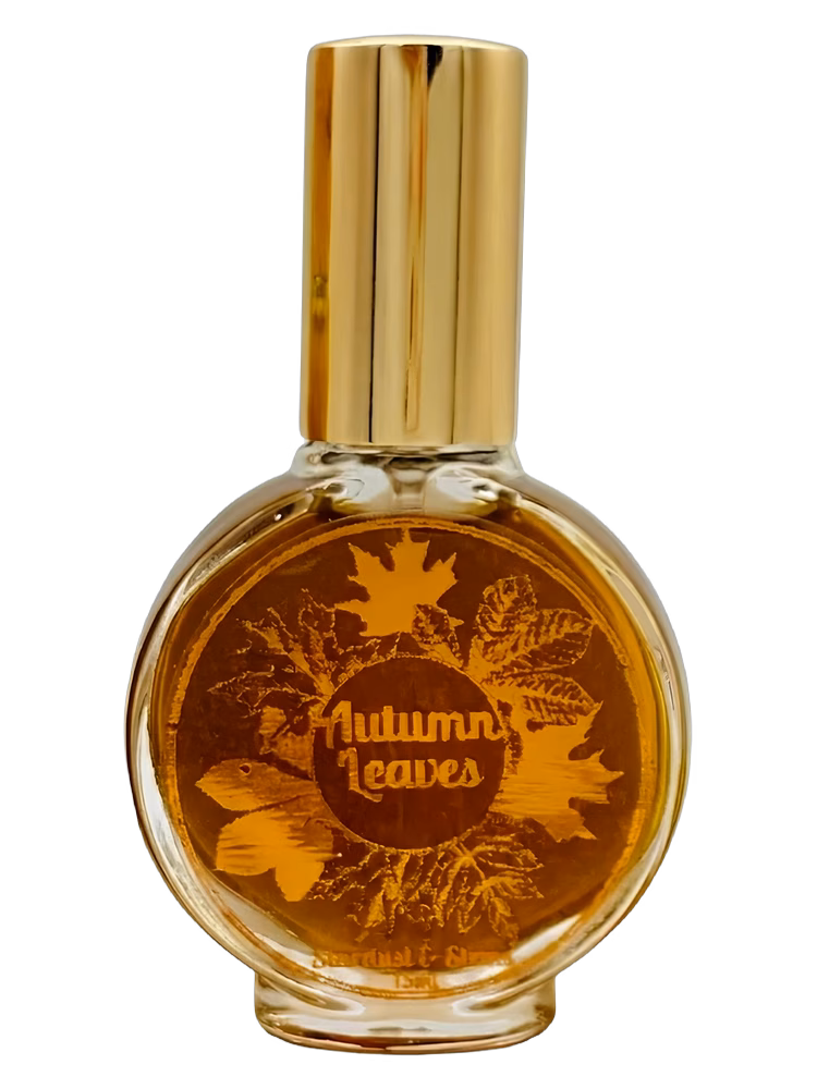 Stardust & Stems Autumn Leaves