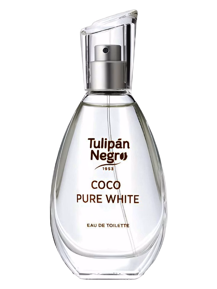 Tulipán Negro Coco Pure White