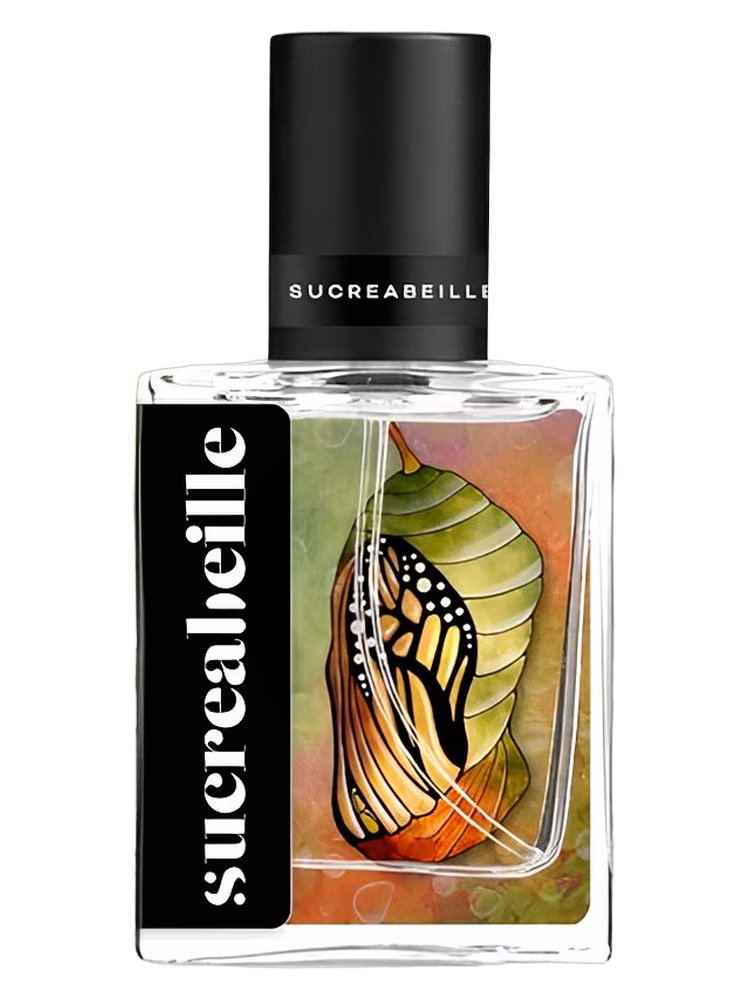 Sucreabeille Chrysalis