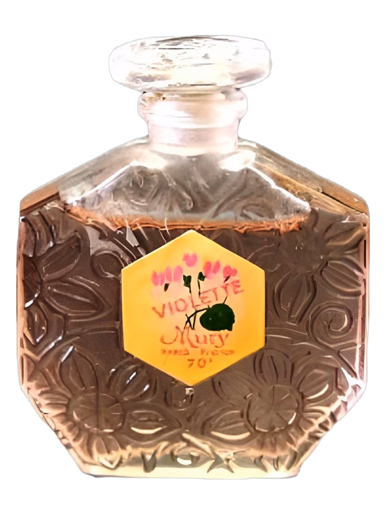Mury Paris Violette