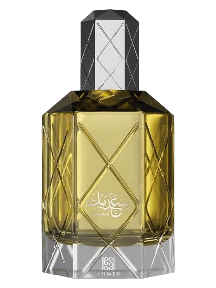 Ahmed Al Maghribi Saadaik