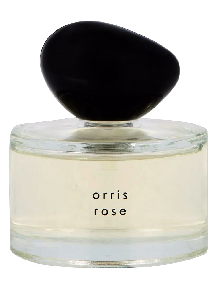 HEMA Orris Rose