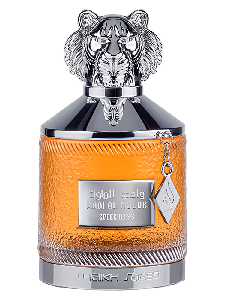 Shaikh Mohd Saeed Wadi al Muluk Speechless