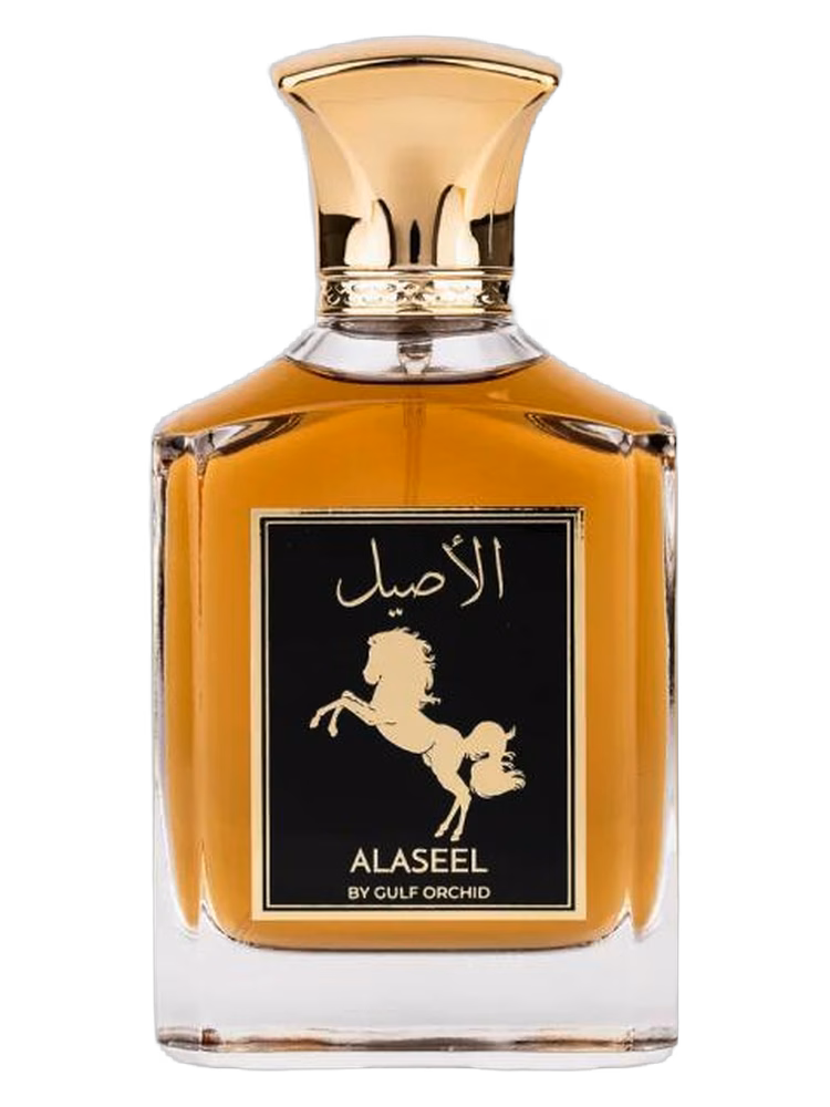 Gulf Orchid Alaseel