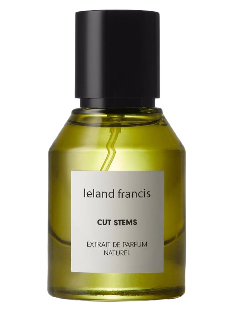 Leland Francis Cut Stems
