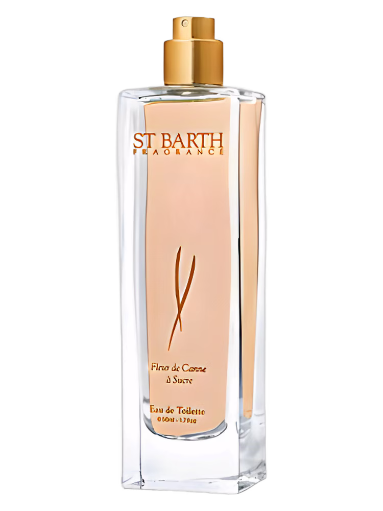 Ligne St. Barth Fleur de Canne a Sucre