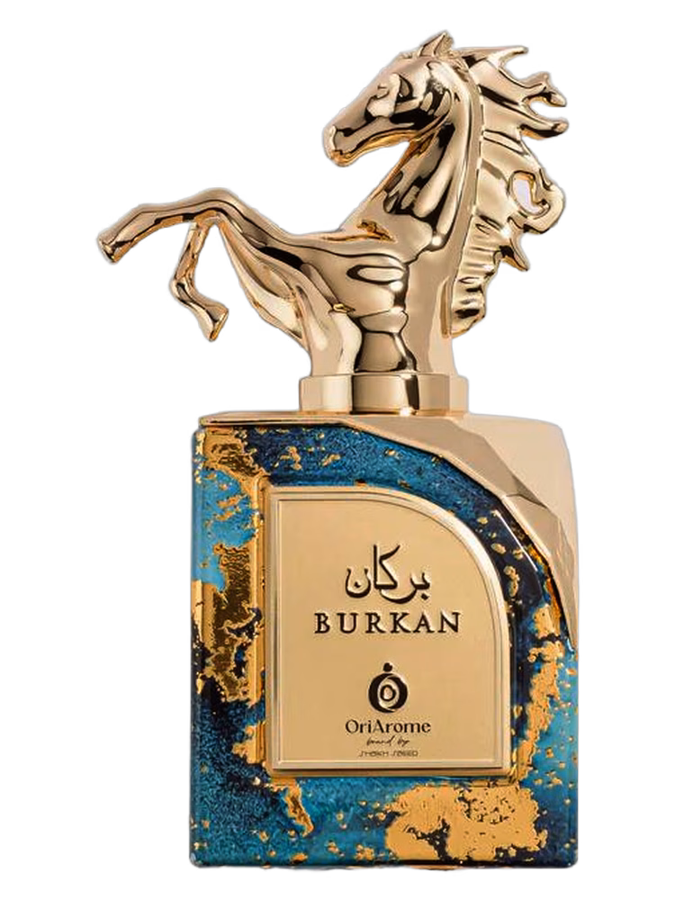 Shaikh Mohd Saeed Burkan