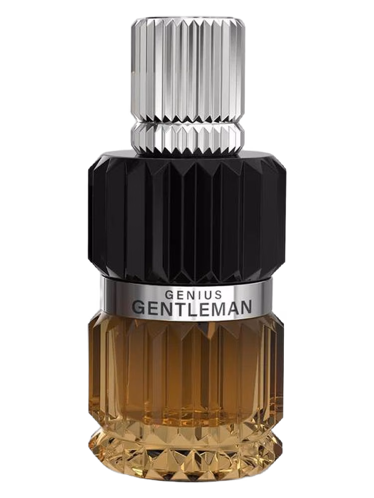 Mirada Genius Gentleman