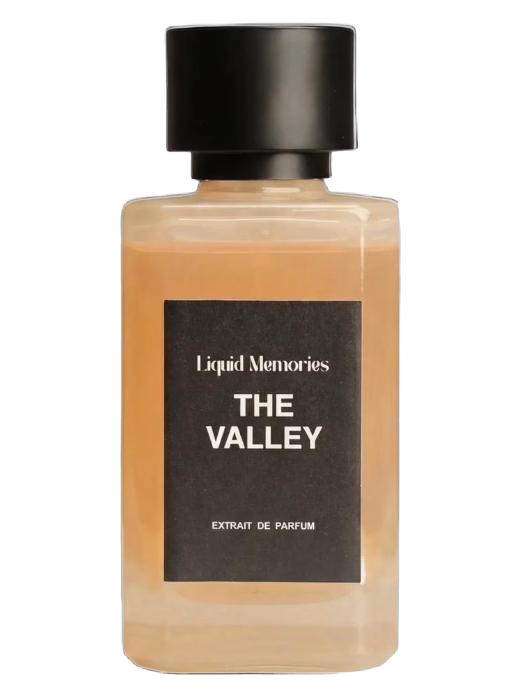 Liquid Memories The Valley