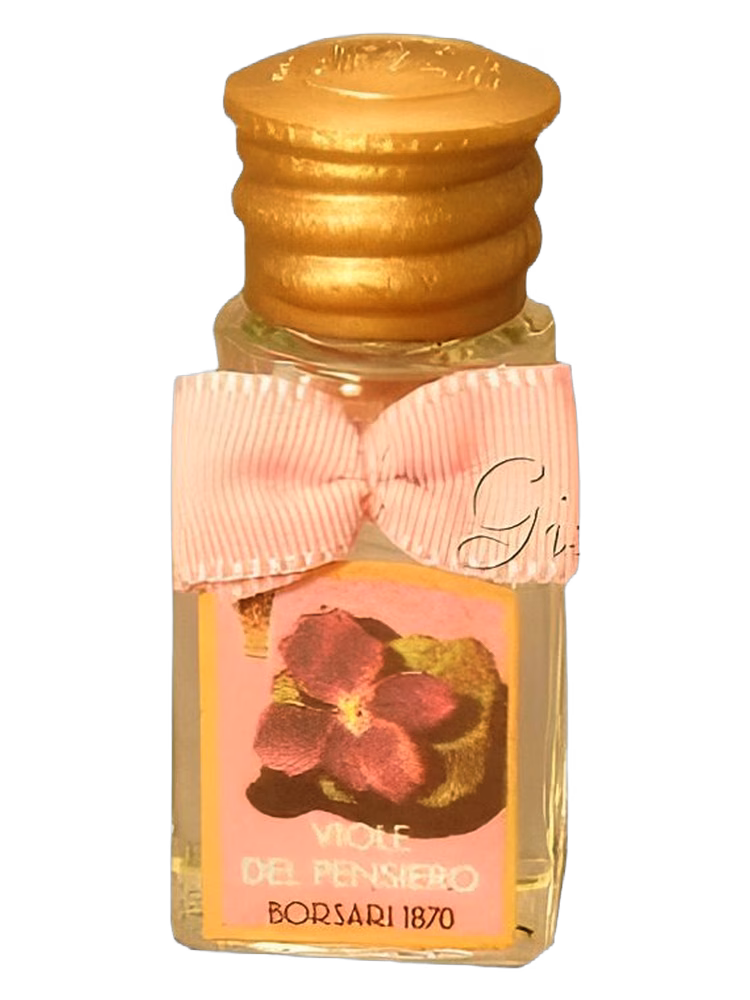 Borsari Viole del Pensiero