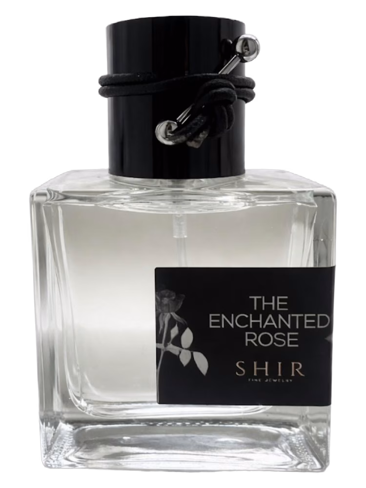 SHIR The Enchanted Rose